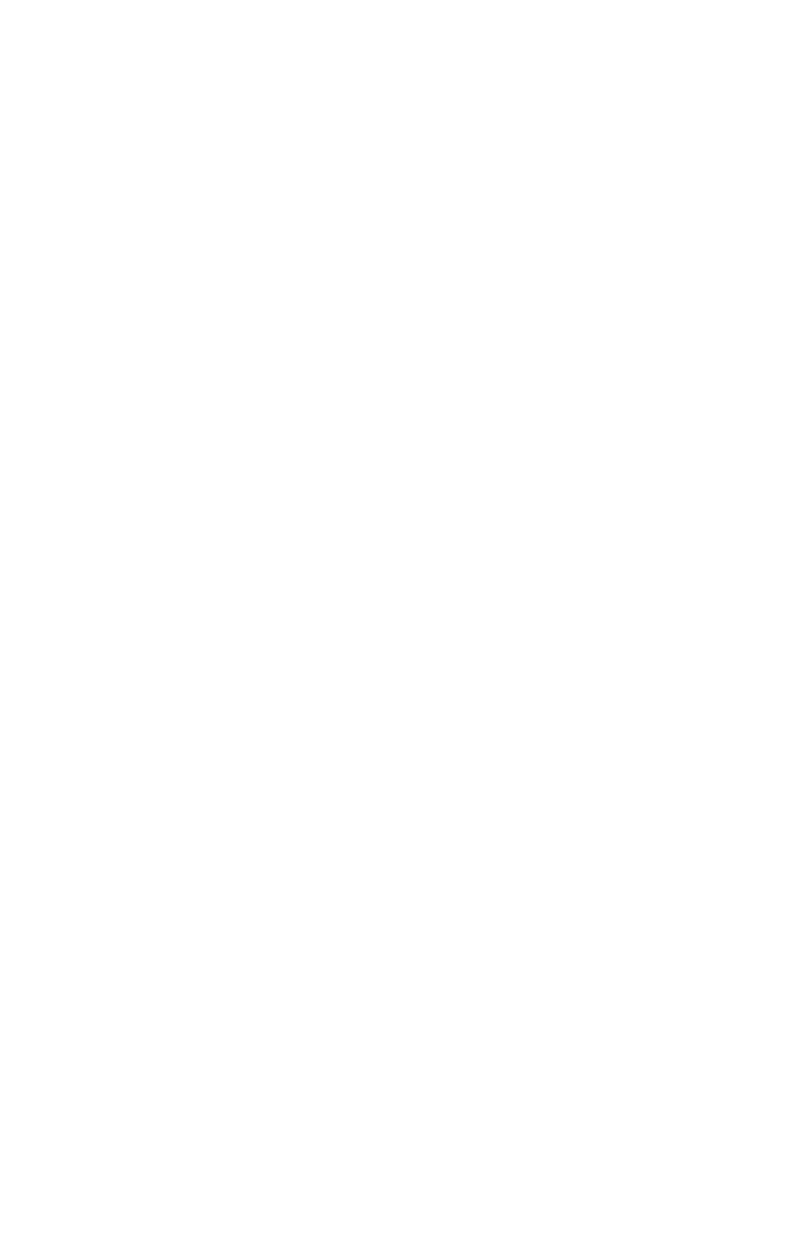 岩手県背景地図画像