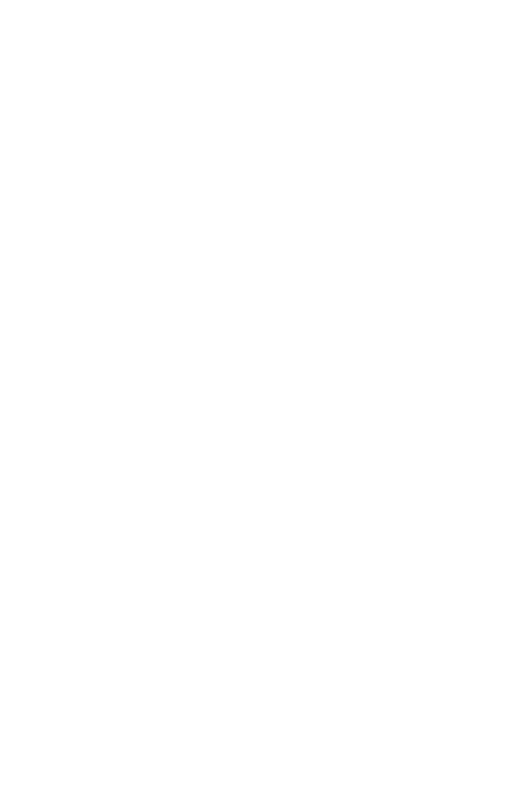 長野県背景地図画像