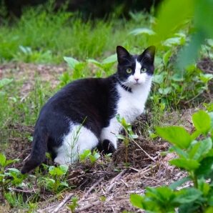 山形 美雪のアイコン