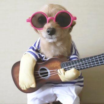 湖国 潮のアイコン