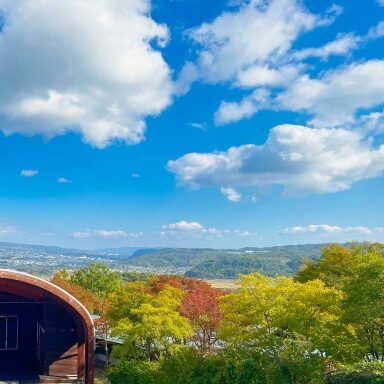 栃木 翔太のアイコン