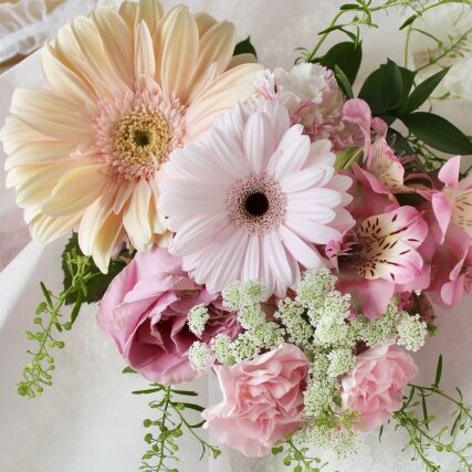 栃木 茜のアイコン