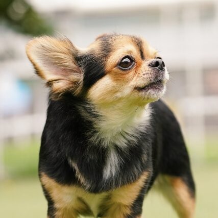 埼玉 海斗のアイコン