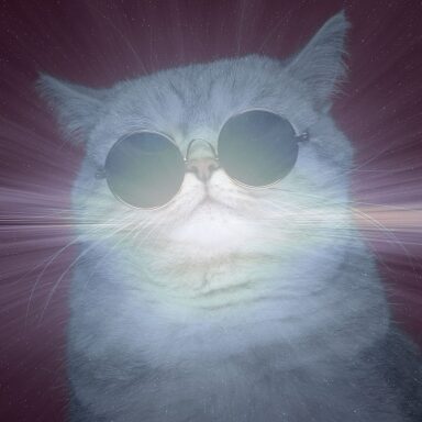 鳥取 砂男のアイコン