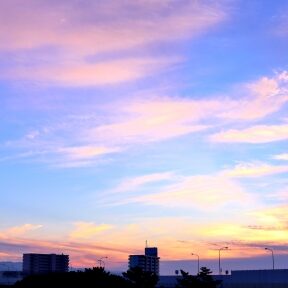 高知 龍馬のアイコン