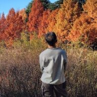 東京 陸のアイコン