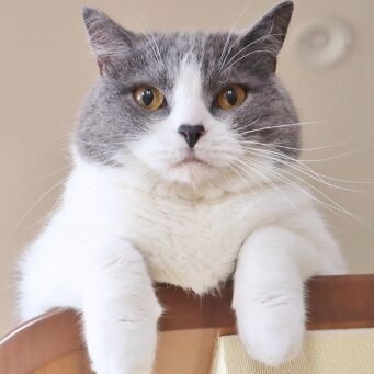 ユーザーアイコン