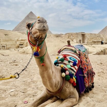 長野 岳人のアイコン